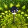 Solar lawn light